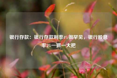 银行存款：银行存款利率4%很罕见，银行股息率5%一抓一大把