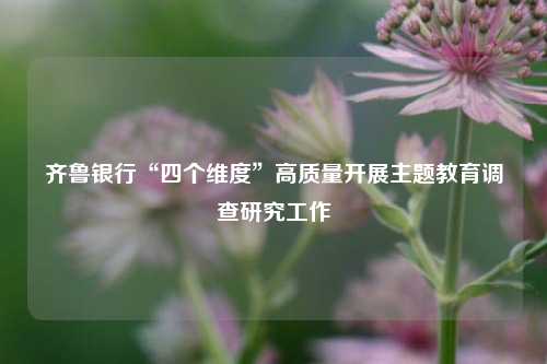 齐鲁银行“四个维度”高质量开展主题教育调查研究工作