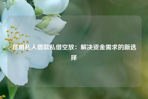 昆明私人借款私借空放：解决资金需求的新选择 银行贷款 昆明急用钱 第1张