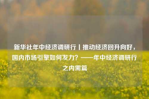 新华社年中经济调研行丨推动经济回升向好，国内市场引擎如何发力？——年中经济调研行之内需篇