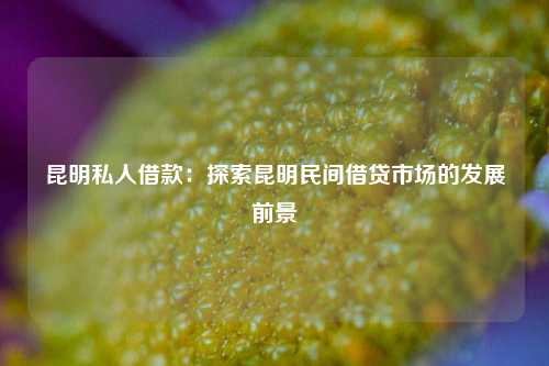 昆明私人借款：探索昆明民间借贷市场的发展前景
