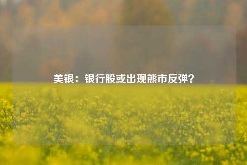 美银：银行股或出现熊市反弹？