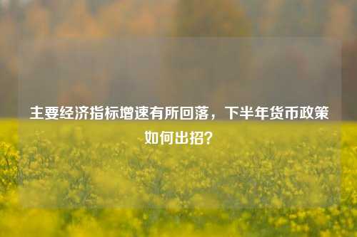 主要经济指标增速有所回落，下半年货币政策如何出招？