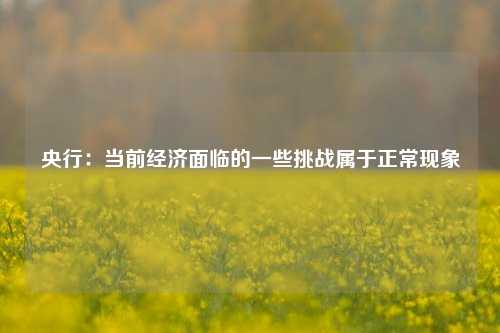 央行：当前经济面临的一些挑战属于正常现象