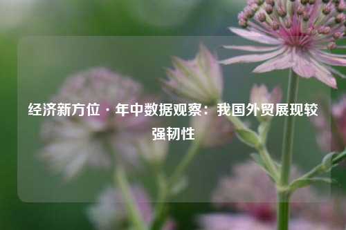 经济新方位·年中数据观察：我国外贸展现较强韧性