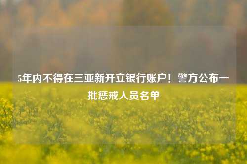 5年内不得在三亚新开立银行账户！警方公布一批惩戒人员名单