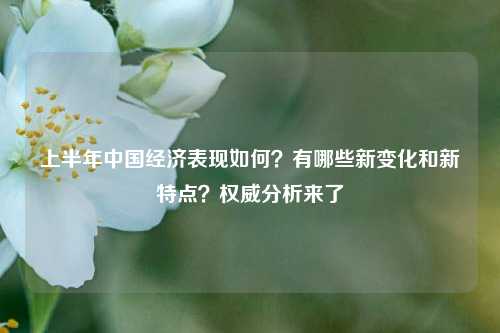 上半年中国经济表现如何？有哪些新变化和新特点？权威分析来了