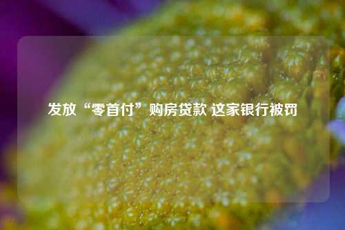 发放“零首付”购房贷款 这家银行被罚