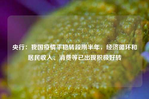 央行：我国疫情平稳转段刚半年，经济循环和居民收入、消费等已出现积极好转