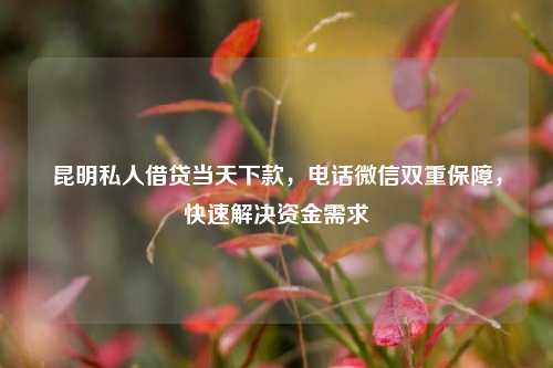 昆明私人借贷当天下款，电话微信双重保障，快速解决资金需求