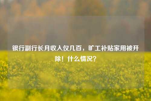 银行副行长月收入仅几百，旷工补贴家用被开除！什么情况？