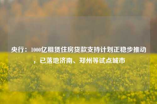 央行：1000亿租赁住房贷款支持计划正稳步推动，已落地济南、郑州等试点城市