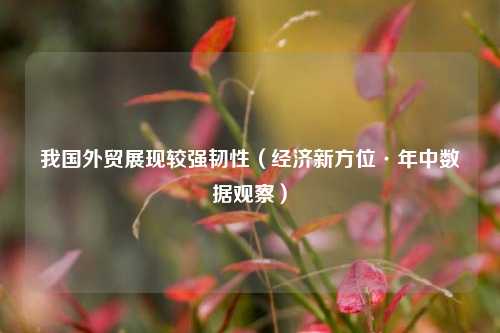 我国外贸展现较强韧性（经济新方位·年中数据观察）