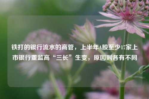 铁打的银行流水的高管，上半年A股至少17家上市银行董监高“三长”生变，原因则各有不同