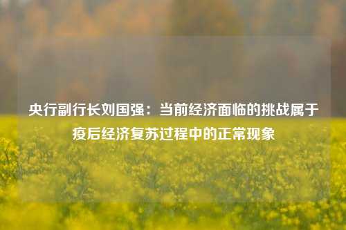 央行副行长刘国强：当前经济面临的挑战属于疫后经济复苏过程中的正常现象