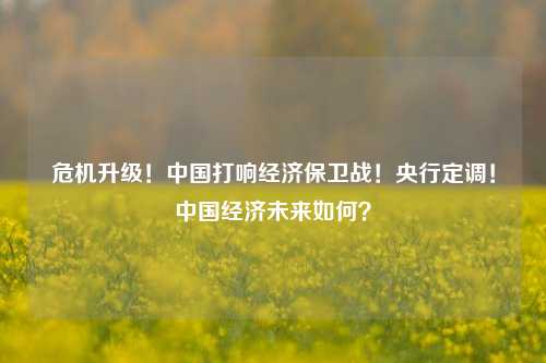 危机升级！中国打响经济保卫战！央行定调！中国经济未来如何？