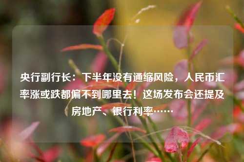 央行副行长：下半年没有通缩风险，人民币汇率涨或跌都偏不到哪里去！这场发布会还提及房地产、银行利率……