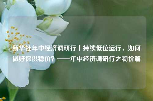 新华社年中经济调研行丨持续低位运行，如何做好保供稳价？——年中经济调研行之物价篇