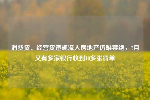 消费贷、经营贷违规流入房地产仍难禁绝，7月又有多家银行收到10多张罚单