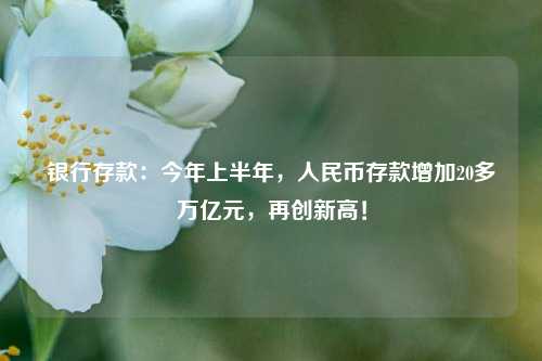 银行存款：今年上半年，人民币存款增加20多万亿元，再创新高！