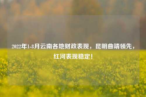 2022年1-8月云南各地财政表现，昆明曲靖领先，红河表现稳定！