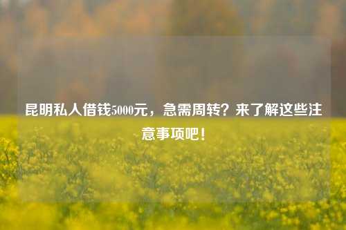 昆明私人借钱5000元，急需周转？来了解这些注意事项吧！ 利率 信息安全 民间借贷 第1张