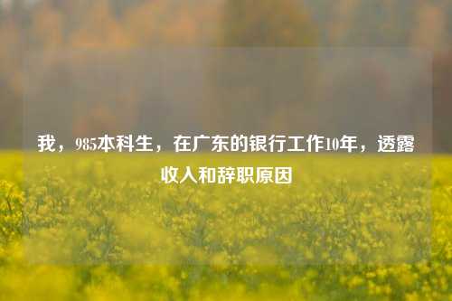 我，985本科生，在广东的银行工作10年，透露收入和辞职原因