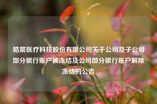 皓宸医疗科技股份有限公司关于公司及子公司部分银行账户被冻结及公司部分银行账户解除冻结的公告