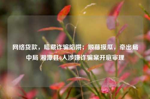 网络贷款，暗藏诈骗陷阱；顺藤摸瓜，牵出局中局 湘潭县6人涉嫌诈骗案开庭审理
