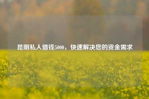 昆明私人借钱5000，快速解决您的资金需求