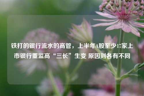 铁打的银行流水的高管，上半年A股至少17家上市银行董监高“三长”生变 原因则各有不同