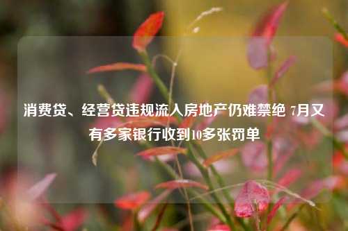 消费贷、经营贷违规流入房地产仍难禁绝 7月又有多家银行收到10多张罚单