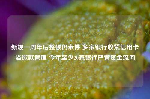 新规一周年后整顿仍未停 多家银行收紧信用卡溢缴款管理 今年至少20家银行严管资金流向