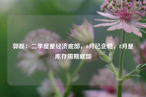 郭磊：二季度是经济底部，6月已企稳，8月是库存周期底部
