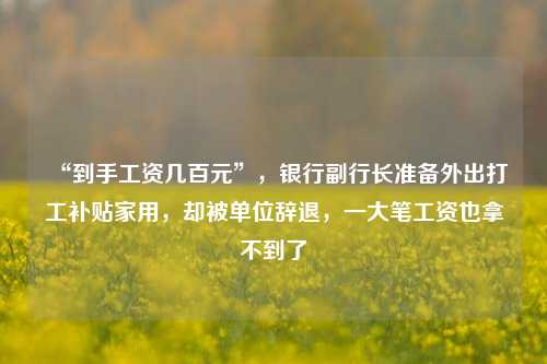 “到手工资几百元”，银行副行长准备外出打工补贴家用，却被单位辞退，一大笔工资也拿不到了