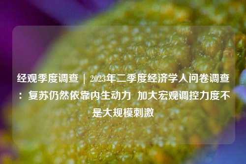 经观季度调查 | 2023年二季度经济学人问卷调查：复苏仍然依靠内生动力 加大宏观调控力度不是大规模刺激