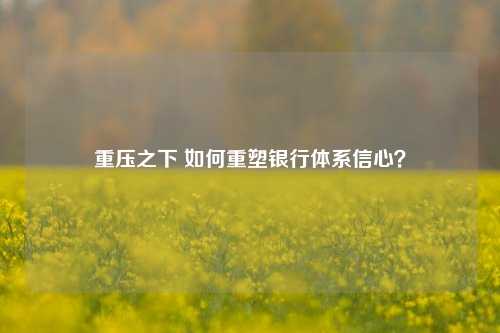 重压之下 如何重塑银行体系信心？