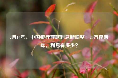 7月16号，中国银行存款利息新调整：20万存两年，利息有多少？