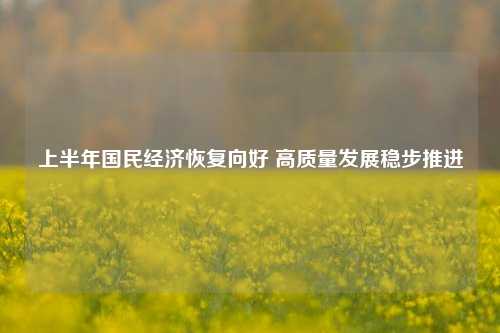 上半年国民经济恢复向好 高质量发展稳步推进