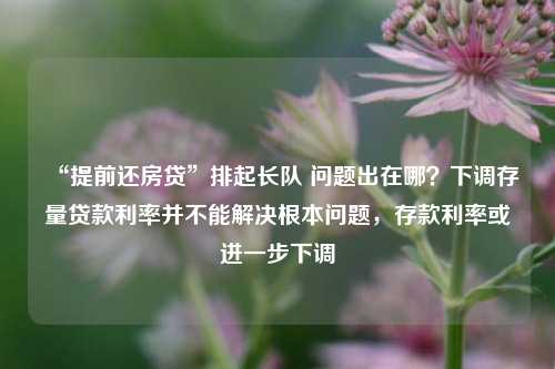 “提前还房贷”排起长队 问题出在哪？下调存量贷款利率并不能解决根本问题，存款利率或进一步下调