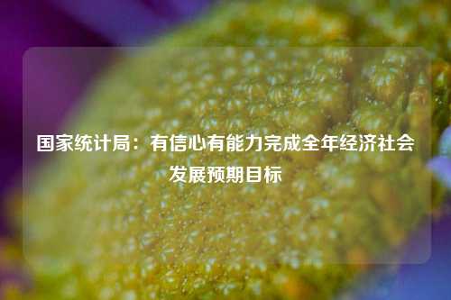 国家统计局：有信心有能力完成全年经济社会发展预期目标