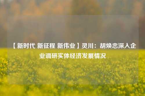 【新时代 新征程 新伟业】灵川：胡焕忠深入企业调研实体经济发展情况