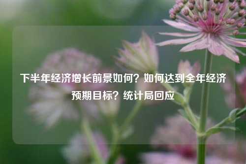 下半年经济增长前景如何？如何达到全年经济预期目标？统计局回应