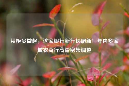 从柜员做起，这家银行新行长履新！年内多家城农商行高管密集调整