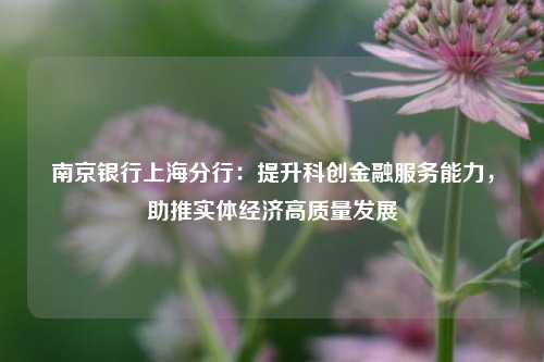 南京银行上海分行：提升科创金融服务能力，助推实体经济高质量发展