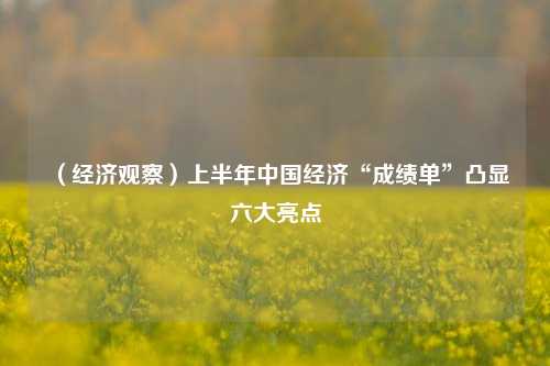 （经济观察）上半年中国经济“成绩单”凸显六大亮点