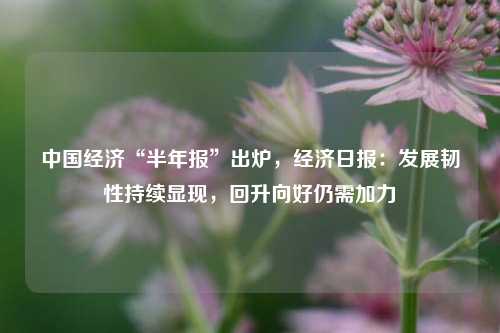 中国经济“半年报”出炉，经济日报：发展韧性持续显现，回升向好仍需加力 行业新闻 第1张