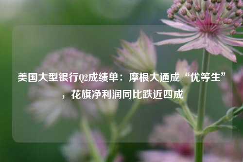 美国大型银行Q2成绩单：摩根大通成“优等生”，花旗净利润同比跌近四成