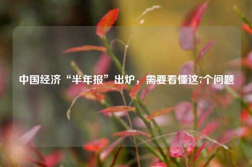 中国经济“半年报”出炉，需要看懂这7个问题