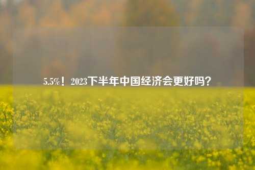 5.5%！2023下半年中国经济会更好吗？